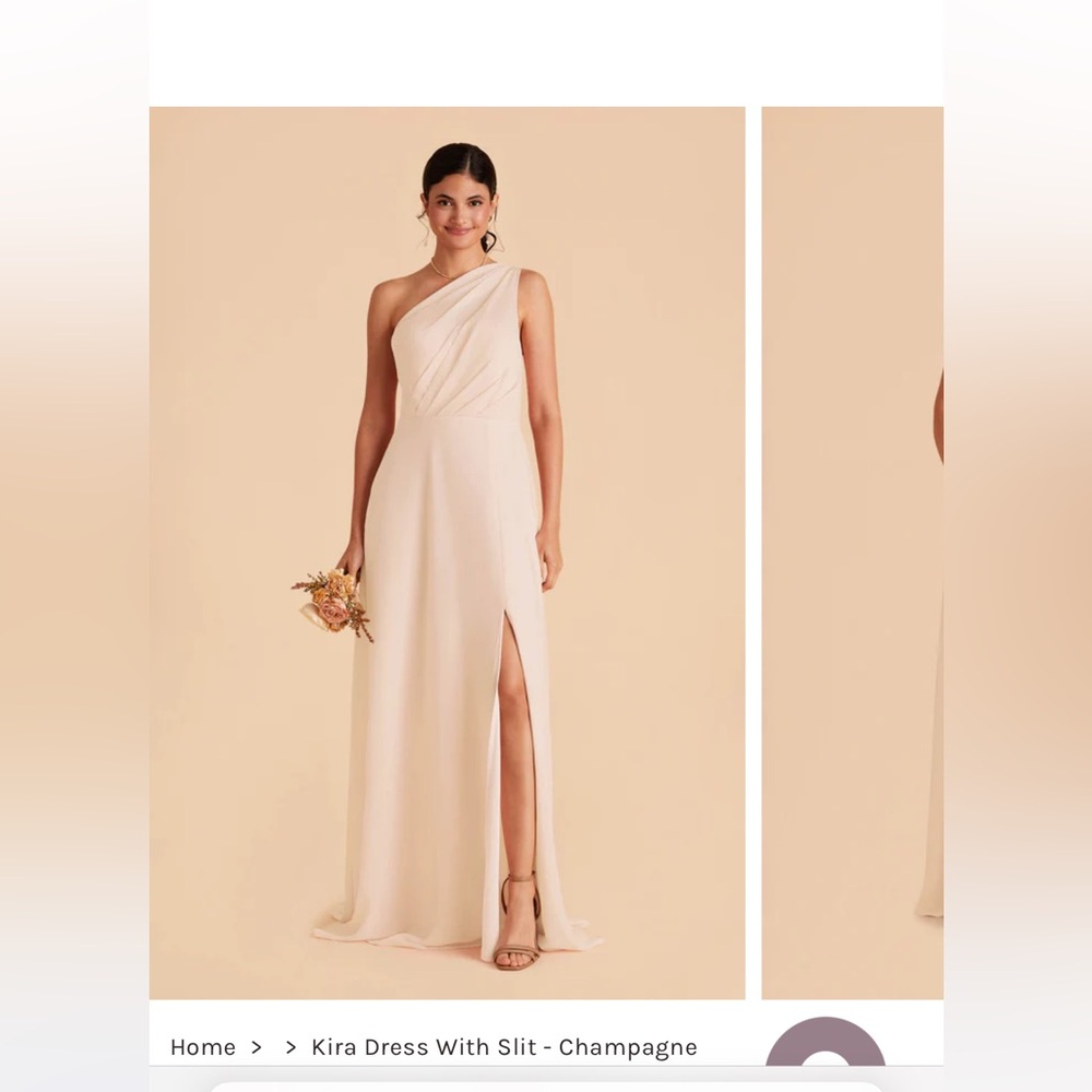 Birdy Grey Champagne, chiffon material, one shoulder
